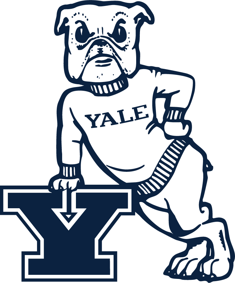 Yale Bulldogs 2019-Pres Secondary Logo diy iron on heat transfer